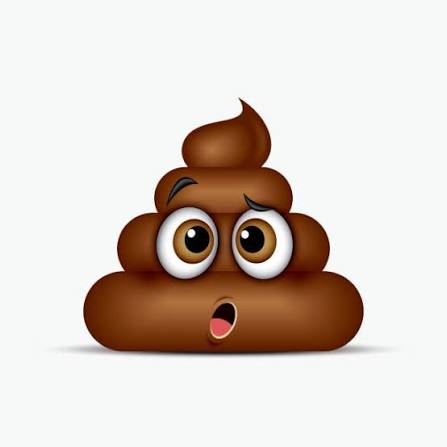 SHIT logo
